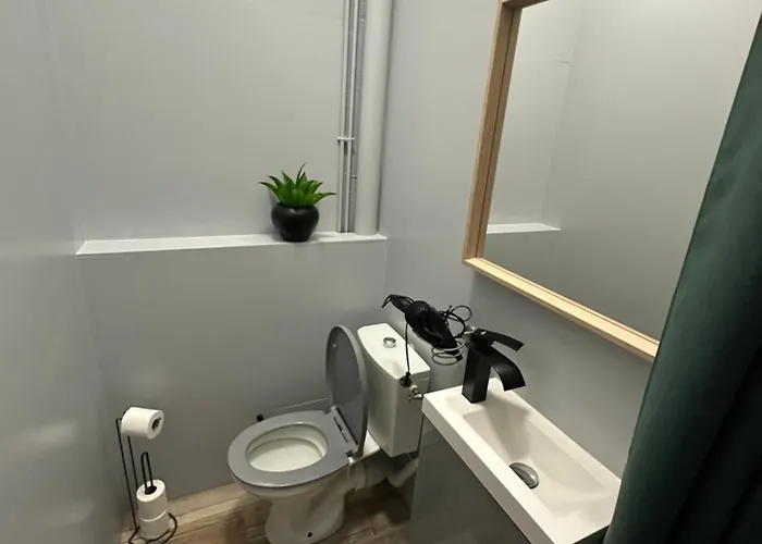 Rubis 1 Apartamento Vichy